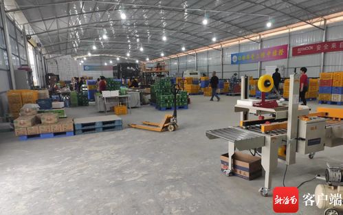 瓊中綠橙產(chǎn)業(yè)數(shù)字化轉(zhuǎn)型 數(shù)據(jù)化分選工廠與赤壁企業(yè)網(wǎng)站建設(shè)雙輪驅(qū)動，實(shí)現(xiàn)產(chǎn)業(yè)增效與穩(wěn)定就業(yè)雙豐收